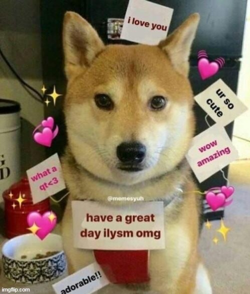 You have been blessed by wholesome doggo | made w/ Imgflip meme maker