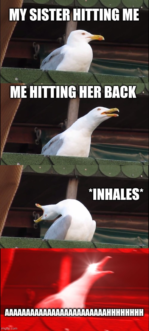 Inhaling Seagull | MY SISTER HITTING ME; ME HITTING HER BACK; *INHALES*; AAAAAAAAAAAAAAAAAAAAAAAAHHHHHHHH | image tagged in memes,inhaling seagull | made w/ Imgflip meme maker