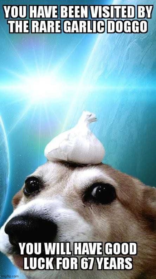 G a r l i c L o r d | made w/ Imgflip meme maker