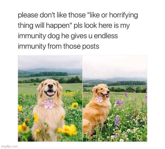 :D | made w/ Imgflip meme maker