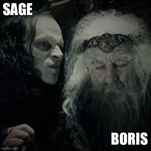 Sage Boris Lord of the Rings | SAGE; BORIS | image tagged in grima wormtongue | made w/ Imgflip meme maker