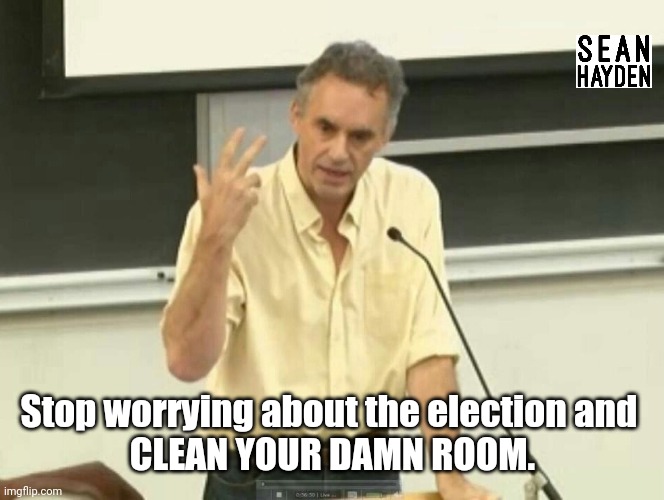 Wisdom | Stop worrying about the election and 
CLEAN YOUR DAMN ROOM. | image tagged in jordan peterson | made w/ Imgflip meme maker