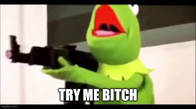 kermit with a huge glock | TRY ME BITCH | image tagged in kermit with a huge glock | made w/ Imgflip meme maker