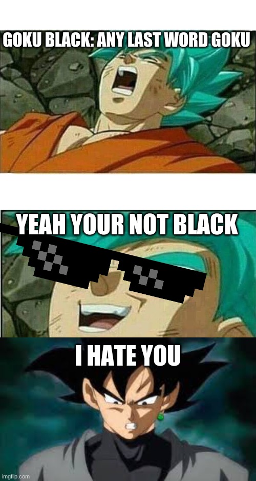 GOKU BLACK: ANY LAST WORD GOKU; YEAH YOUR NOT BLACK; I HATE YOU | image tagged in dragon ball z | made w/ Imgflip meme maker