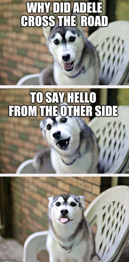 Bad Pun Dog 2 | WHY DID ADELE CROSS THE  ROAD; TO SAY HELLO FROM THE OTHER SIDE | image tagged in bad pun dog 2 | made w/ Imgflip meme maker