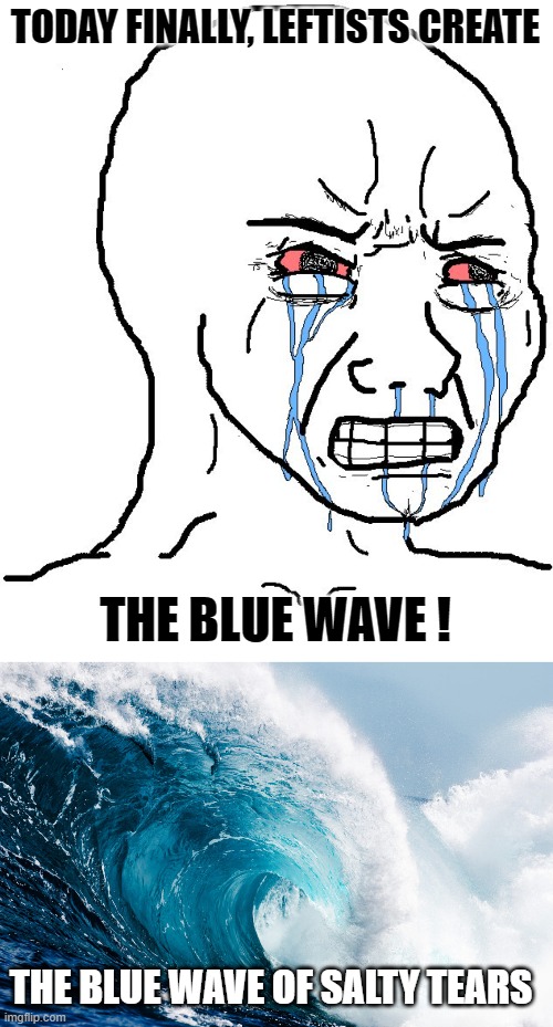 Delicious Leftist Salty Tears | TODAY FINALLY, LEFTISTS CREATE; THE BLUE WAVE ! THE BLUE WAVE OF SALTY TEARS | image tagged in crying npc | made w/ Imgflip meme maker