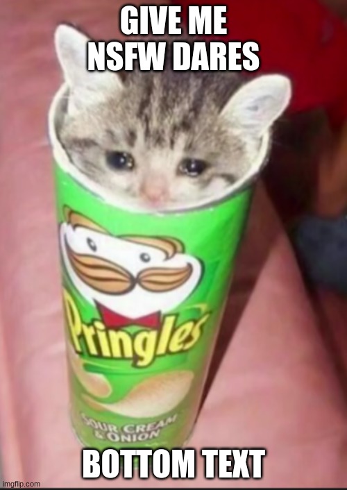 Pringles cat | GIVE ME NSFW DARES; BOTTOM TEXT | image tagged in pringles cat | made w/ Imgflip meme maker