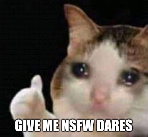 Approved crying cat | GIVE ME NSFW DARES | image tagged in approved crying cat | made w/ Imgflip meme maker