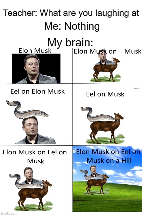 Eel on musk | Teacher: What are you laughing at; Me: Nothing; My brain: | image tagged in blank white template | made w/ Imgflip meme maker