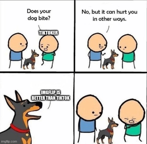 Imgflip got better meme's | TIKTOKER; IMGFLIP IS BETTER THAN TIKTOK | image tagged in does your dog bite | made w/ Imgflip meme maker