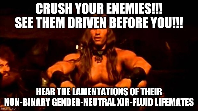 conan crush your enemies | CRUSH YOUR ENEMIES!!!
SEE THEM DRIVEN BEFORE YOU!!! HEAR THE LAMENTATIONS OF THEIR NON-BINARY GENDER-NEUTRAL XIR-FLUID LIFEMATES | image tagged in conan crush your enemies | made w/ Imgflip meme maker