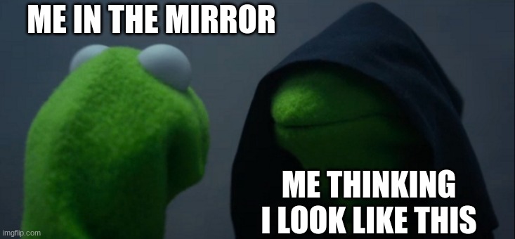 InValid | ME IN THE MIRROR; ME THINKING I LOOK LIKE THIS | image tagged in memes,evil kermit | made w/ Imgflip meme maker