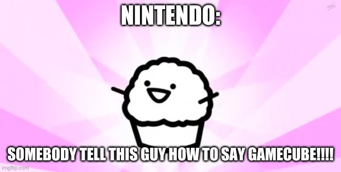 somebody kill me ASDF | NINTENDO: SOMEBODY TELL THIS GUY HOW TO SAY GAMECUBE!!!! | image tagged in somebody kill me asdf | made w/ Imgflip meme maker