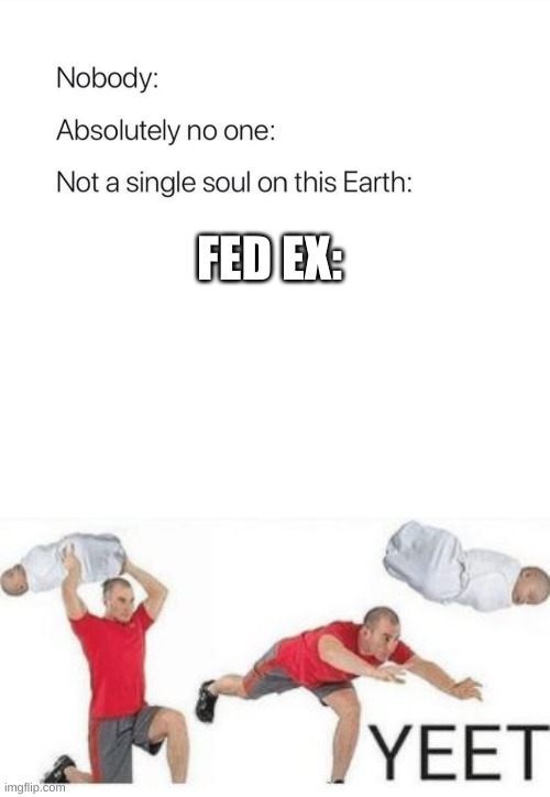 yeeeeeeeeeeeeeeeeeeeeeeeeeeeet. | FED EX: | image tagged in nobody absolutely no one | made w/ Imgflip meme maker