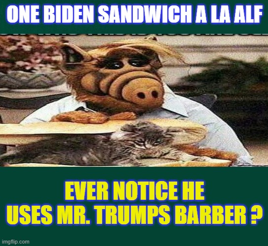 Biden sandwich | ONE BIDEN SANDWICH A LA ALF; EVER NOTICE HE USES MR. TRUMPS BARBER ? | image tagged in politics lol | made w/ Imgflip meme maker