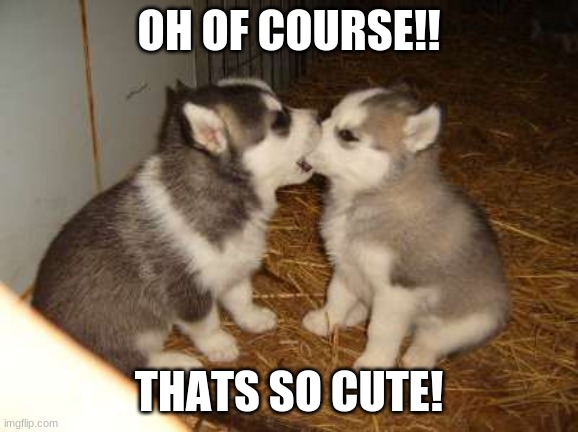 Cute Puppies Meme | OH OF COURSE!! THATS SO CUTE! | image tagged in memes,cute puppies | made w/ Imgflip meme maker