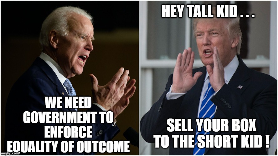 Socialism vs Capitalism | HEY TALL KID . . . WE NEED GOVERNMENT TO ENFORCE EQUALITY OF OUTCOME SELL YOUR BOX TO THE SHORT KID ! | image tagged in socialism vs capitalism | made w/ Imgflip meme maker