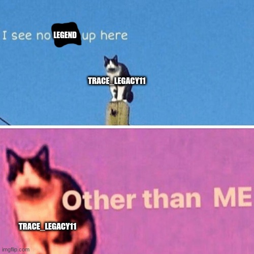 Hail pole cat | TRACE_LEGACY11 LEGEND TRACE_LEGACY11 | image tagged in hail pole cat | made w/ Imgflip meme maker