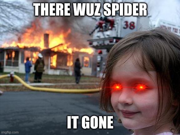 Disaster Girl Meme | THERE WUZ SPIDER; IT GONE | image tagged in memes,disaster girl | made w/ Imgflip meme maker