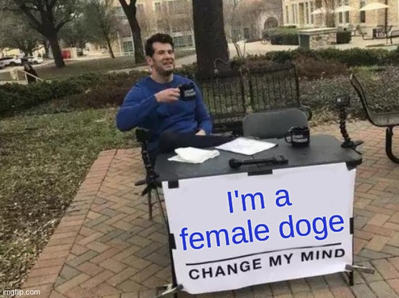 Change My Mind Meme | I'm a female doge | image tagged in memes,change my mind | made w/ Imgflip meme maker