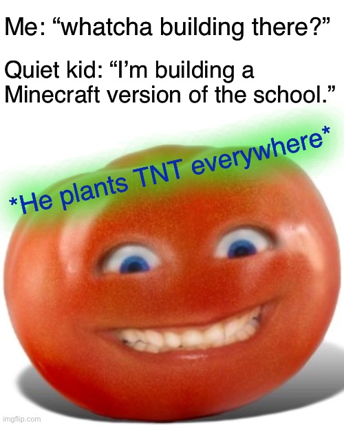 RED FLAG | Me: “whatcha building there?”; Quiet kid: “I’m building a Minecraft version of the school.”; *He plants TNT everywhere* | image tagged in blank white template,tomato,funny,memes | made w/ Imgflip meme maker