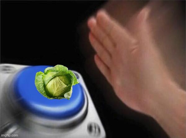 clear cabbage inspired by pepper.'s cabbage meme | image tagged in memes,blank nut button,cabbage,nico | made w/ Imgflip meme maker