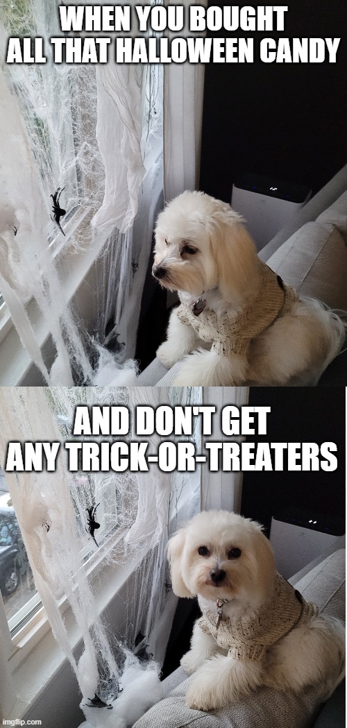 Halloween Candy | WHEN YOU BOUGHT ALL THAT HALLOWEEN CANDY; AND DON'T GET ANY TRICK-OR-TREATERS | image tagged in halloween,dogs,puppy | made w/ Imgflip meme maker