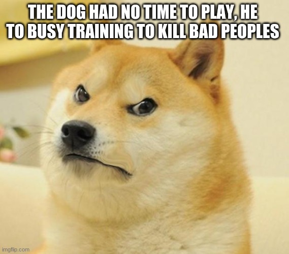 Mad doge | THE DOG HAD NO TIME TO PLAY, HE TO BUSY TRAINING TO KILL BAD PEOPLES | image tagged in mad doge | made w/ Imgflip meme maker