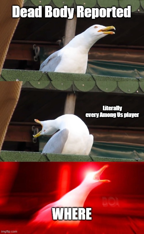 Why u read title read meme | Dead Body Reported; Literally every Among Us player; WHERE | image tagged in inhaling seagull,among us,dead body reported | made w/ Imgflip meme maker