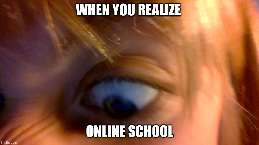 Online school like....... | WHEN YOU REALIZE; ONLINE SCHOOL | image tagged in eyes,online school | made w/ Imgflip meme maker