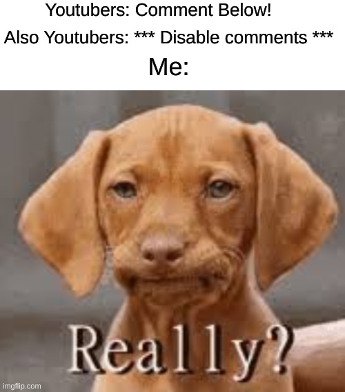 Youtubers: Comment Below! Also Youtubers: *** Disable comments ***; Me: | image tagged in blank white template,really dachschund | made w/ Imgflip meme maker