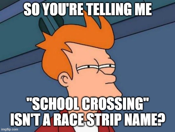 Futurama Fry | SO YOU'RE TELLING ME; "SCHOOL CROSSING" ISN'T A RACE STRIP NAME? | image tagged in memes,futurama fry | made w/ Imgflip meme maker
