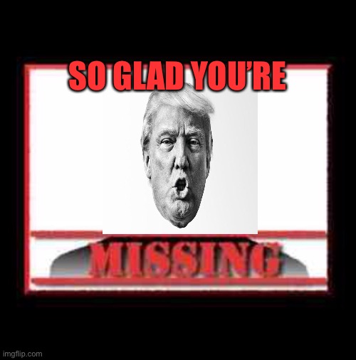 Missing | SO GLAD YOU’RE | image tagged in missing | made w/ Imgflip meme maker