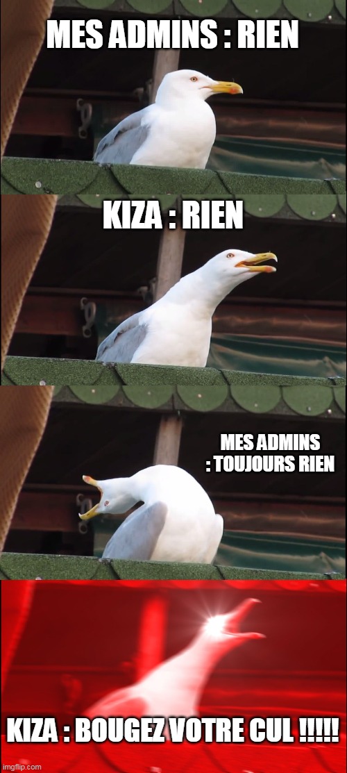 FR meme | MES ADMINS : RIEN; KIZA : RIEN; MES ADMINS : TOUJOURS RIEN; KIZA : BOUGEZ VOTRE CUL !!!!! | image tagged in memes,inhaling seagull | made w/ Imgflip meme maker