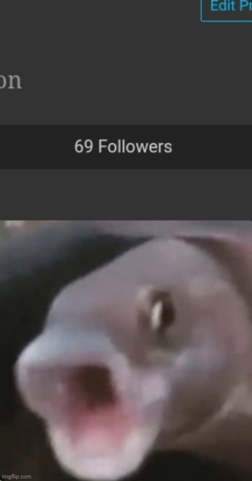 image tagged in poggers fish | made w/ Imgflip meme maker