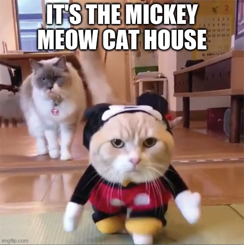 mickey meow | IT'S THE MICKEY MEOW CAT HOUSE | image tagged in mickey mouse cat house | made w/ Imgflip meme maker