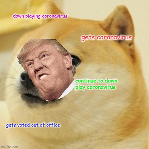 trump is bad | down playing coronavirus; gets coronavirus; continue to down play coronavirus; gets voted out of office | image tagged in memes,doge | made w/ Imgflip meme maker
