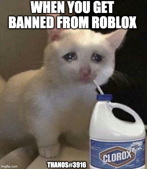 Roblox |  WHEN YOU GET BANNED FROM ROBLOX; THANOS#3916 | image tagged in sad cat,cat drinking bleach,bleach,drink bleach,roblox,roblox meme | made w/ Imgflip meme maker