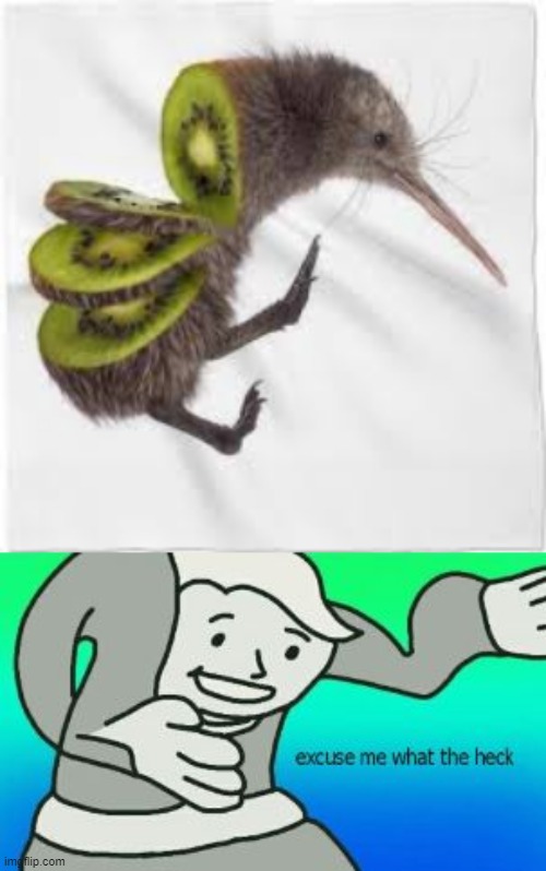KIWI | image tagged in excuse me what the heck,kiwi | made w/ Imgflip meme maker