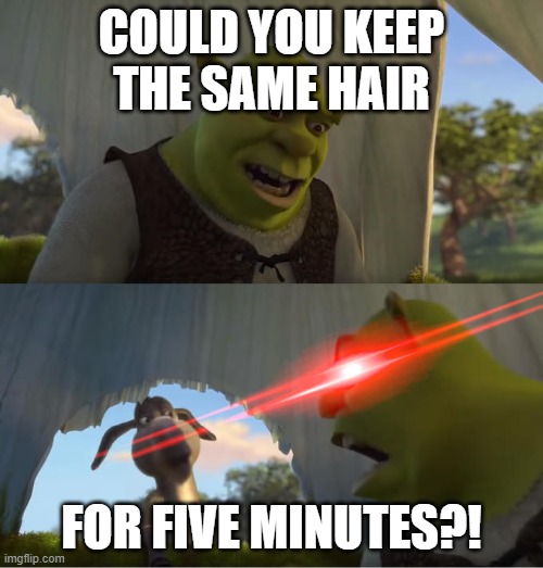 Shrek For Five Minutes | COULD YOU KEEP THE SAME HAIR; FOR FIVE MINUTES?! | image tagged in shrek for five minutes | made w/ Imgflip meme maker