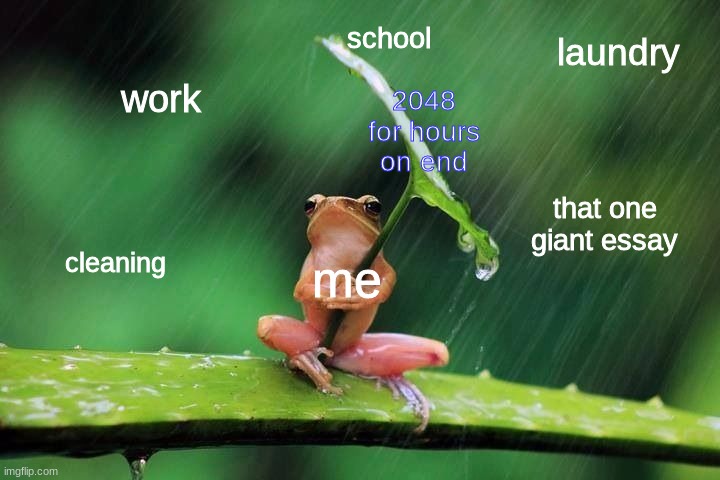 Frog with umbrella | school; laundry; 2048 for hours on end; work; that one giant essay; cleaning; me | image tagged in frog with umbrella | made w/ Imgflip meme maker