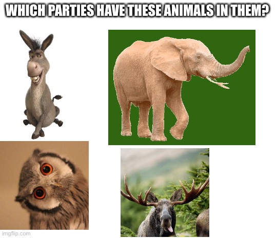 Blank White Template | WHICH PARTIES HAVE THESE ANIMALS IN THEM? | image tagged in blank white template,donkey,elephant,owl,moose,political parties | made w/ Imgflip meme maker