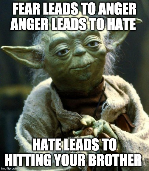Star Wars Yoda | FEAR LEADS TO ANGER ANGER LEADS TO HATE; HATE LEADS TO HITTING YOUR BROTHER | image tagged in memes,star wars yoda | made w/ Imgflip meme maker