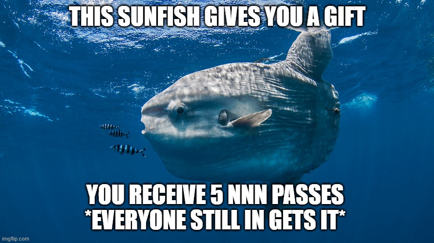 surpise sunfish, a good name? idk its just a sunfish | THIS SUNFISH GIVES YOU A GIFT; YOU RECEIVE 5 NNN PASSES 
*EVERYONE STILL IN GETS IT* | image tagged in this,is,a,big,sun,fish | made w/ Imgflip meme maker