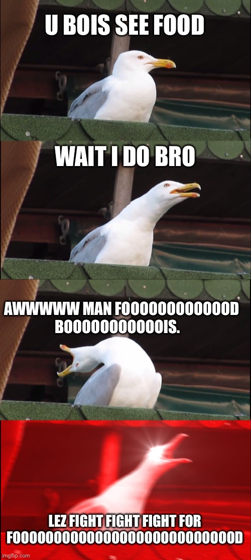 Inhaling Seagull | U BOIS SEE FOOD; WAIT I DO BRO; AWWWWW MAN FOOOOOOOOOOOOD BOOOOOOOOOOOIS. LEZ FIGHT FIGHT FIGHT FOR FOOOOOOOOOOOOOOOOOOOOOOOOOOOD | image tagged in memes,inhaling seagull | made w/ Imgflip meme maker