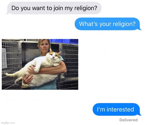 whats your religion | image tagged in whats your religion,memes,cats,fat cat | made w/ Imgflip meme maker