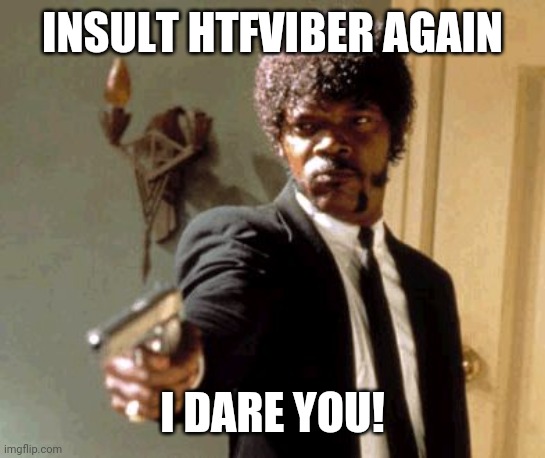 Say That Again I Dare You Meme | INSULT HTFVIBER AGAIN I DARE YOU! | image tagged in memes,say that again i dare you | made w/ Imgflip meme maker