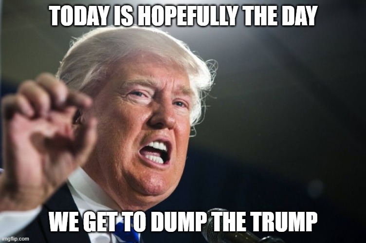 donald trump | TODAY IS HOPEFULLY THE DAY; WE GET TO DUMP THE TRUMP | image tagged in donald trump | made w/ Imgflip meme maker