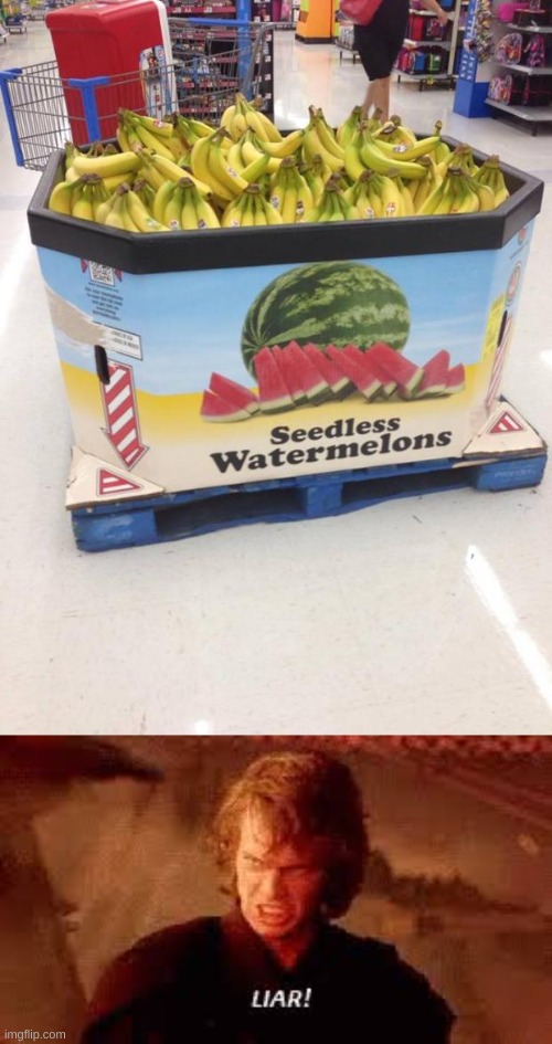 why? why in the world? there was supposed to be watermelons! | image tagged in you had one job,anakin liar | made w/ Imgflip meme maker