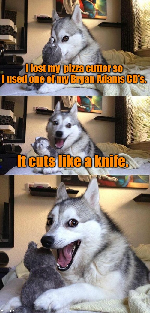 I hope I spelled his name right. | I lost my  pizza cutter so I used one of my Bryan Adams CD's. It cuts like a knife. | image tagged in memes,bad pun dog,butitfeelssoright,sortafunny | made w/ Imgflip meme maker